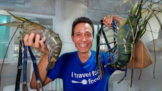 BIGGEST Shrimp I&rsquo;ve Ever Tried!! Thailand&rsquo;s XXXL Seafood!!