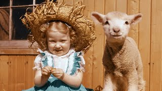 Mary Actually Had a Little Lamb.