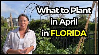 25 Crops Every Gardener Should Plant in April in Florida INCLUDING Herbs & Flowers!