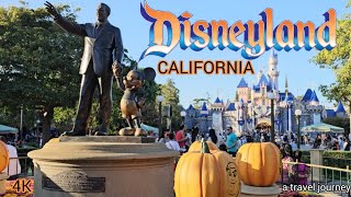 Disneyland California with Star Wars Galaxy Edge | 1 full day in Disney | Things to do in California