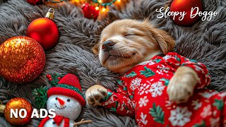 12 HOURS of Dog Calming Music for Dogs 🐶🎅 Anti Separation Anxiety Relief 🎄 Deep Sleep 💖 No Ads