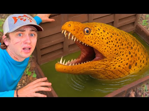 Bass Fishing Productions Youtube - Download High Quality Gradient Background | Mobile