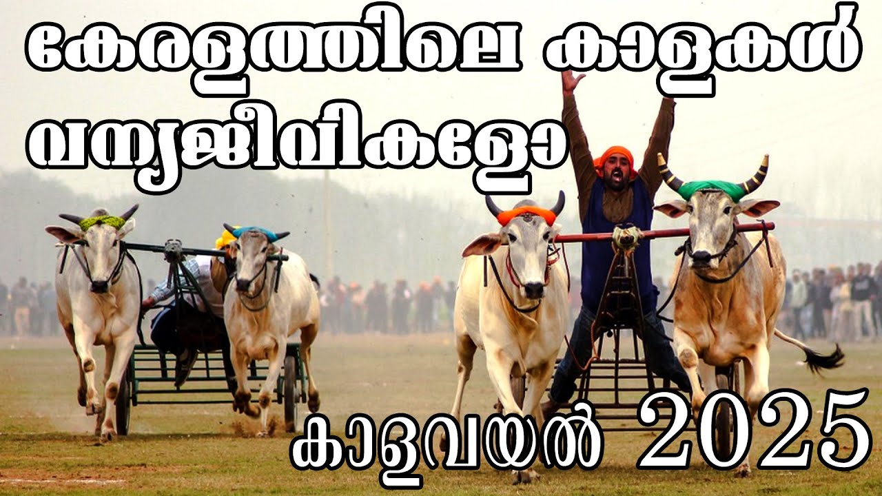 Simple Pattern Ss 0002 Youtube - Vintage Wallpapers - Professional HD Collection