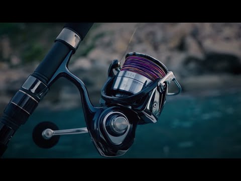 21 DAIWA CERTATE SW 5000-H | REEL REVIEW