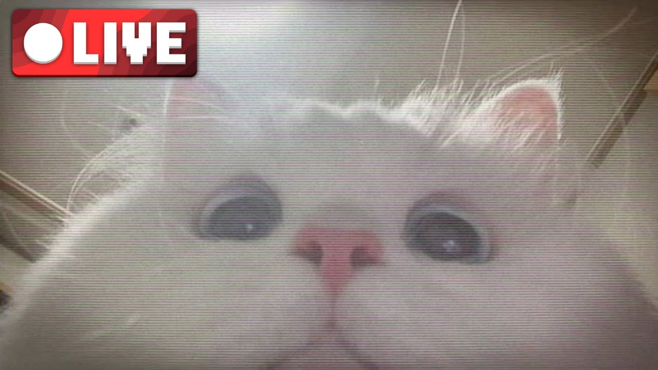 8 Jam Subathon Minecraft Subathon Youtube