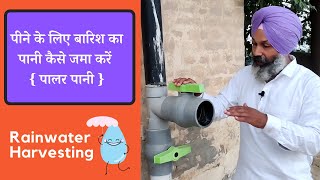पीने के लिए बारिश का पानी कैसे जमा करें | Rainwater Harvesting | Sustainable Living Episode 2