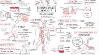 Bio Impedance. Analysis Explained - Men