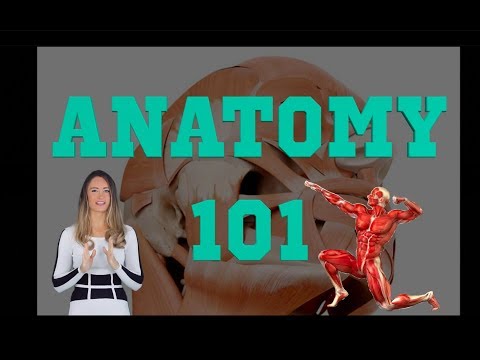 Anatomy 101 Youtube - Desktop Gradient Patterns for Desktop