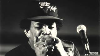 I Ain't Got You - Sugar Blue