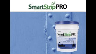 DUMOND SMART STRIP PRO - L'originale sverniciatore all'acqua