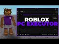 Roblox Executor 2025 Best Free Pc Script Executor Solara Xeno Default 