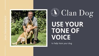 Tone of Voice - one of the best dog training tools you have