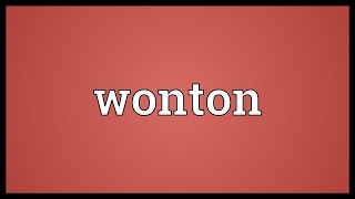 Wonton Meaning