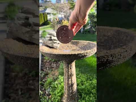 How Copper Can Elevate Your Bird Bath
