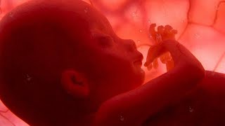 🎵🎵Pregnancy music for baby brain development &hearts; Soothing, relaxing and peaceful🎵🎵