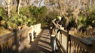 Birding in Central Park - Part 2