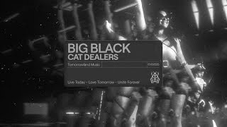 Big Black - Cat Dealers