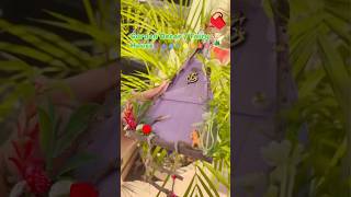 Yeh Switchboard Ab Gayab Ho Gaya! 😱🧚&zwj;♀️ Fairy House DIY #diy #shorts #garden #decor