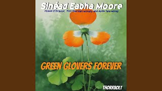 The Fading Embers! (Country-Irish Fusion music) - Thorrvolt