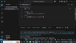 Conditions in Python in 5 minutes
