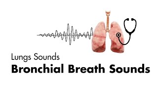 Bronchial Breath Sounds - Lung Sounds - Medzcool
