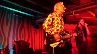 Robyn Hitchcock "Ole! Tarantula" HD