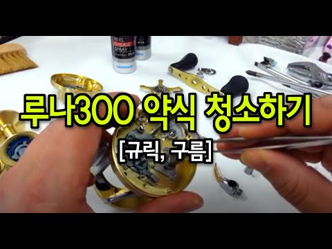루나300 약식 청소하기, #snakeheaded&nbsp;#fish #korea