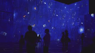 Popular 'Immersive Van Gogh' exhibit coming to Chicago brings visitors inside iconic painter's works