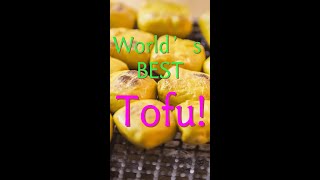 The Ultimate Tofu in Yunnan: Ancient City, Epic Food Adventure!