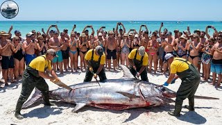 How Fishermen Catch 100 Giant Swordfish with Longlines – Deep Sea Fishing Documentary