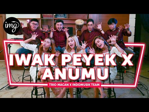 IWAK PEYEK X ANUMU - TRIO MACAN FT INDOMUSIKTEAM #PETIK