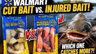 Testing Walmart Cut Bait vs. Injured Bait!