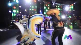 La Negra - Mariachi Nuevo Tecalitlan