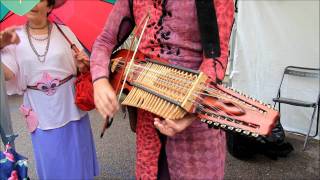 les medievals de villeneuve sur yonne.wmv
