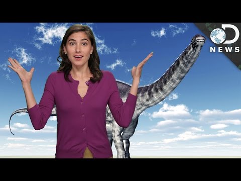 Why The Brontosaurus Is Making A Comeback