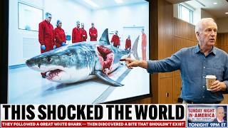 They Followed a Great White Shark — Then Discovered a Bite That Shouldn’t Exist