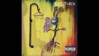Seether - Same Damn Life