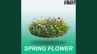 Spring Reset
