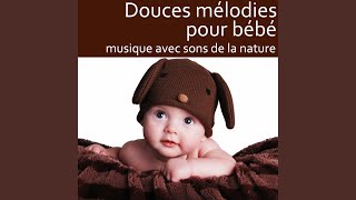 Fais dodo Colas mon petit frere - The Kiboomers
