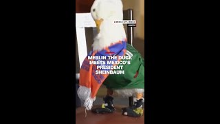 Merlin the duck meets Mexico's President Sheinbaum