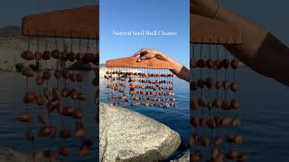 Echoing Chimes - Hindi Vibe