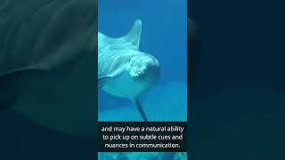 [Pisces Facts] How does the ruling element of water shape the personality traits of Pisces?