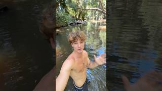 Australia’s dangerous animals