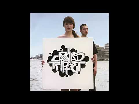 Apt &ndash; Canvastripper (2005)