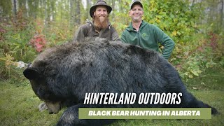 BLACK BEAR HUNTING - ALBERTA CANADA