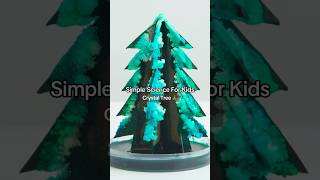 Stream Crystal Christmas Tree DIY Science Experiment #kiwico #scienceexperiment #diy Online