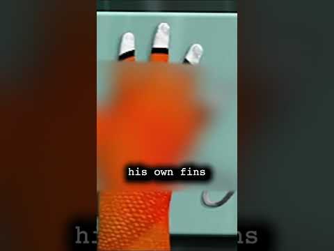 Finding Nemo But Make It Disturbing