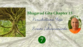 7 - Bhagavad Gita - Chapter 15 Verse 14 - 15