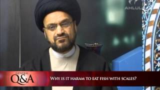 Why is it haram to eat fishout with scales? | General Q&A
