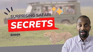 The Insider's Guide to Budget-Friendly African Safaris